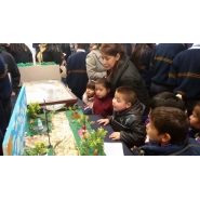 Expomaquetas